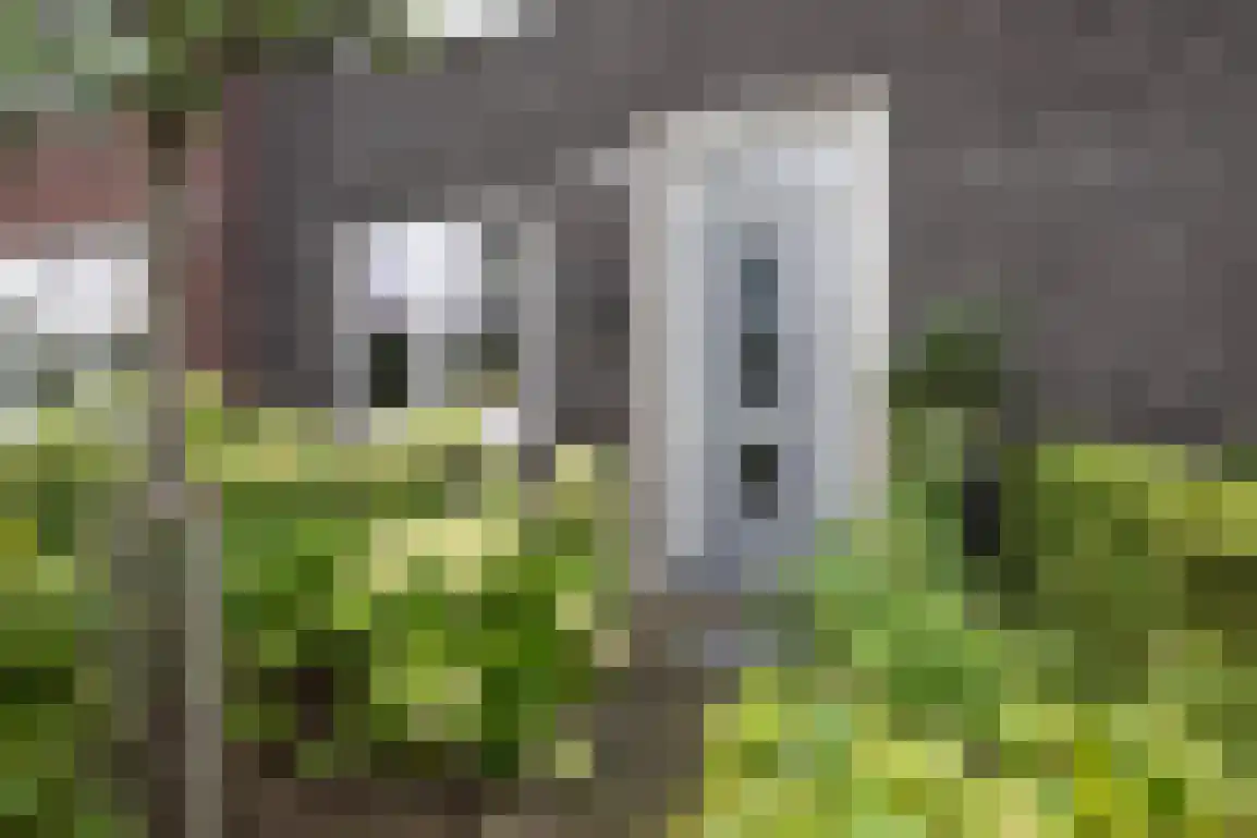 Iepenlaan 41 Dirksland thumbnail 5
