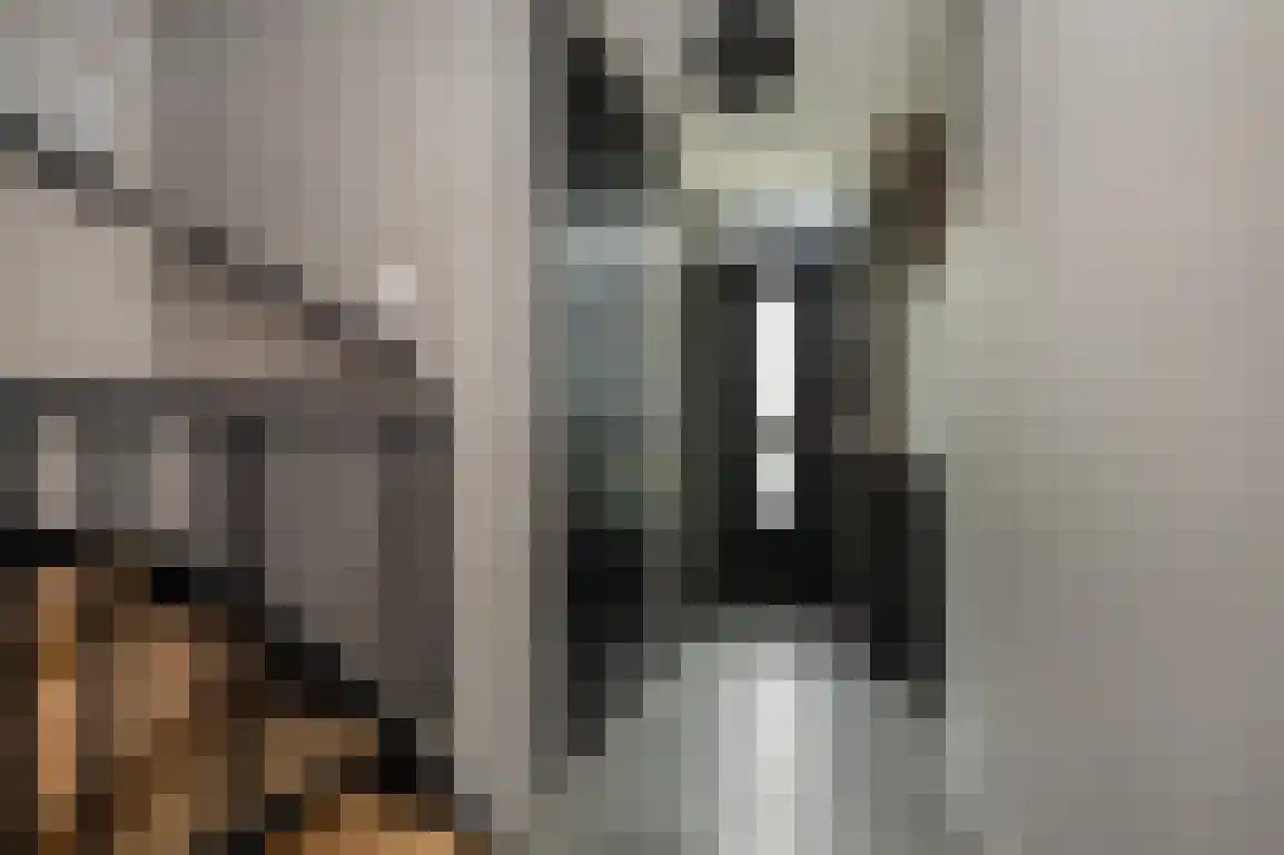 Iepenlaan 41 Dirksland thumbnail 6