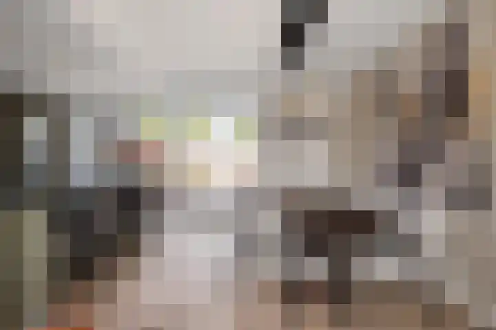Iepenlaan 43 Schagen thumbnail 12