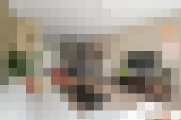Iepenlaan 43 Schagen thumbnail 16