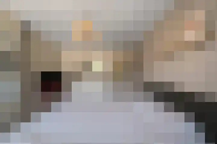 Iepenlaan 43 Schagen thumbnail 19