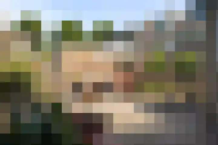 Iepenlaan 43 Schagen thumbnail 4