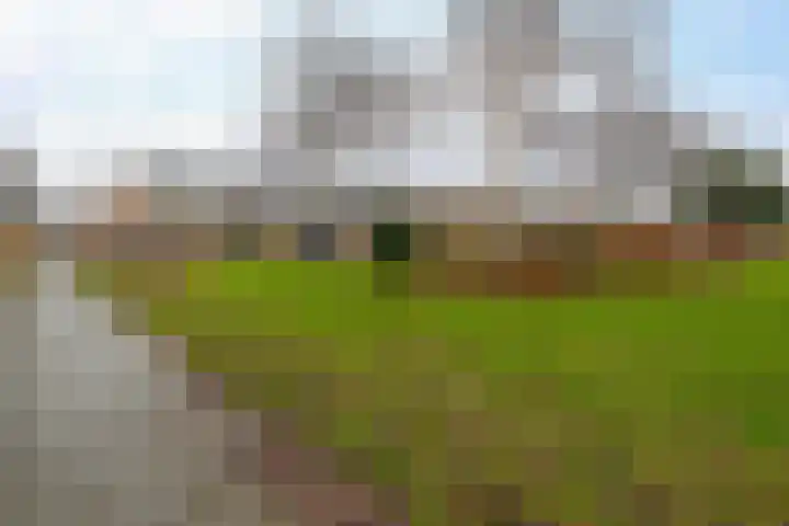 Iepenlaan 43 Winschoten thumbnail 25