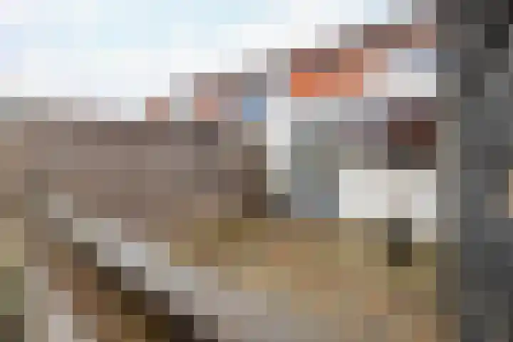 Iepenlaan 43 Winschoten thumbnail 27