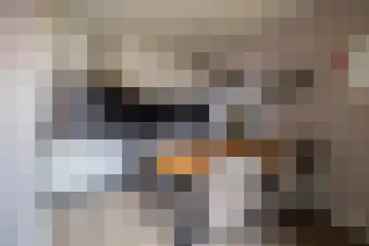 Iepenlaan 43 Winschoten thumbnail 8