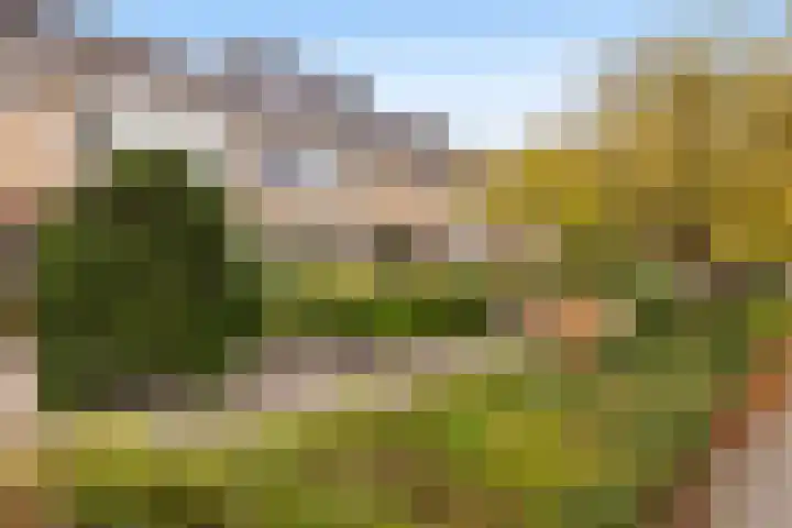 Iepenlaan 45 in Dordrecht