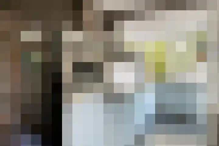 Iepenlaan 46 Alkmaar thumbnail 12