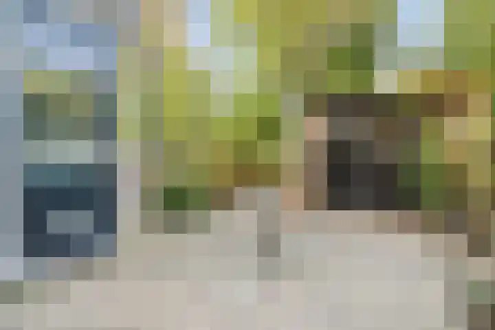 Iepenlaan 46 Alkmaar thumbnail 14