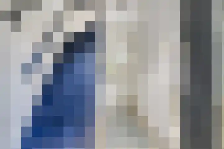 Iepenlaan 46 Alkmaar thumbnail 20