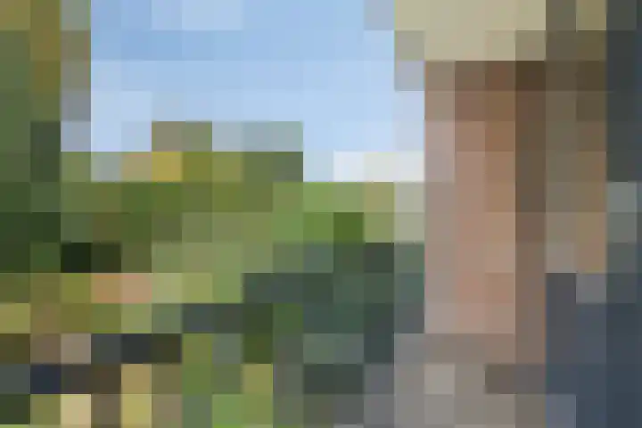 Iepenlaan 46 Alkmaar thumbnail 24