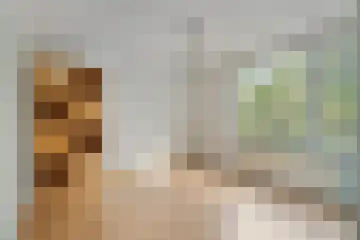 Iepenlaan 46 Alkmaar thumbnail 25