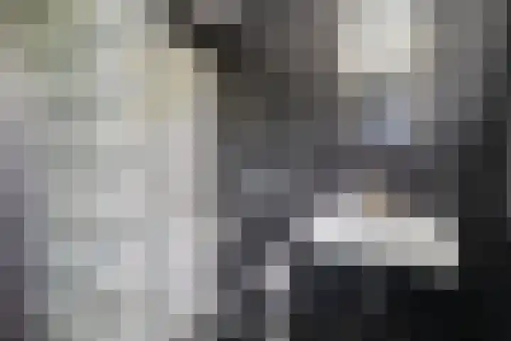Iepenlaan 46 Alkmaar thumbnail 27