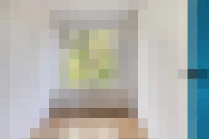 Iepenlaan 46 Alkmaar thumbnail 29
