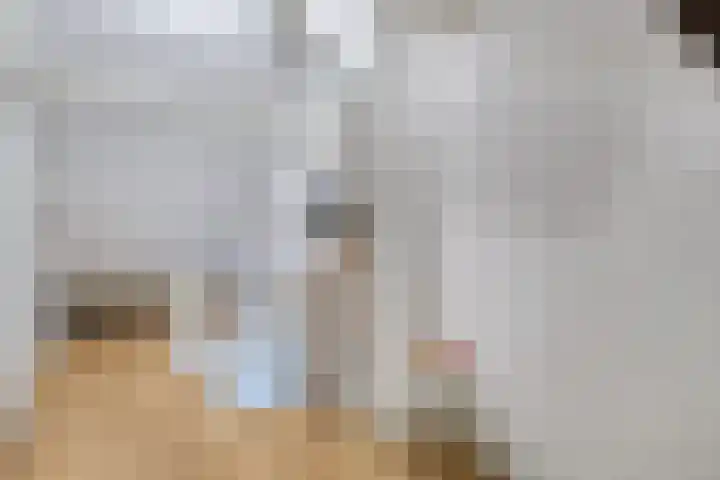 Iepenlaan 46 Alkmaar thumbnail 30