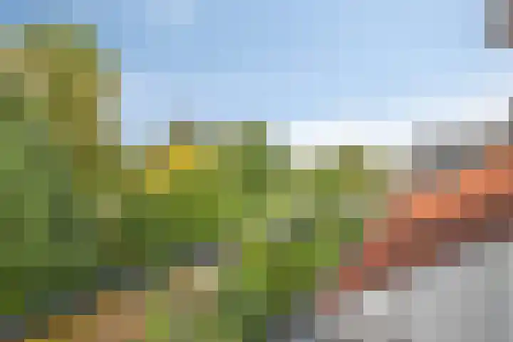 Iepenlaan 46 Alkmaar thumbnail 33