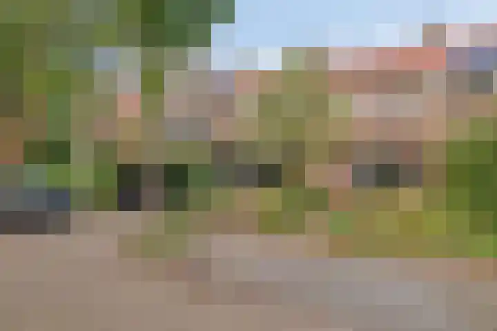 Iepenlaan 46 Alkmaar thumbnail 35