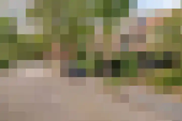 Iepenlaan 46 Alkmaar thumbnail 36