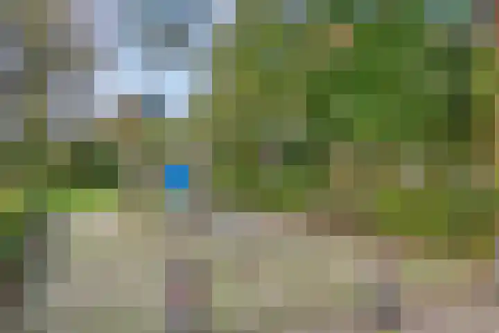 Iepenlaan 46 Alkmaar thumbnail 37