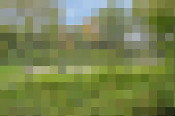 Iepenlaan 46 Alkmaar thumbnail 38