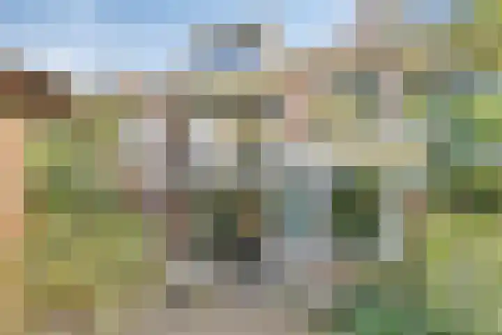 Iepenlaan 46 Alkmaar thumbnail 4