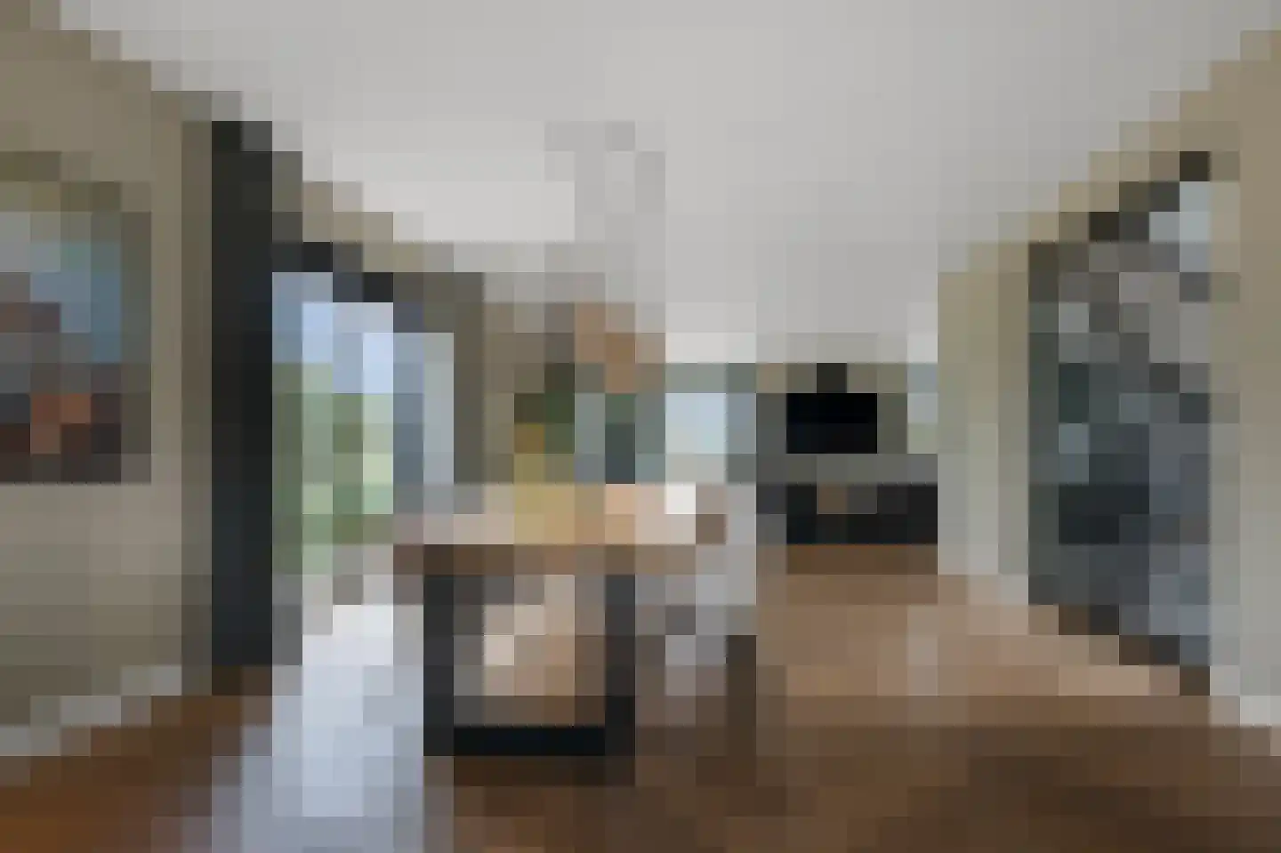 Iepenlaan 46 De Kwakel thumbnail 11
