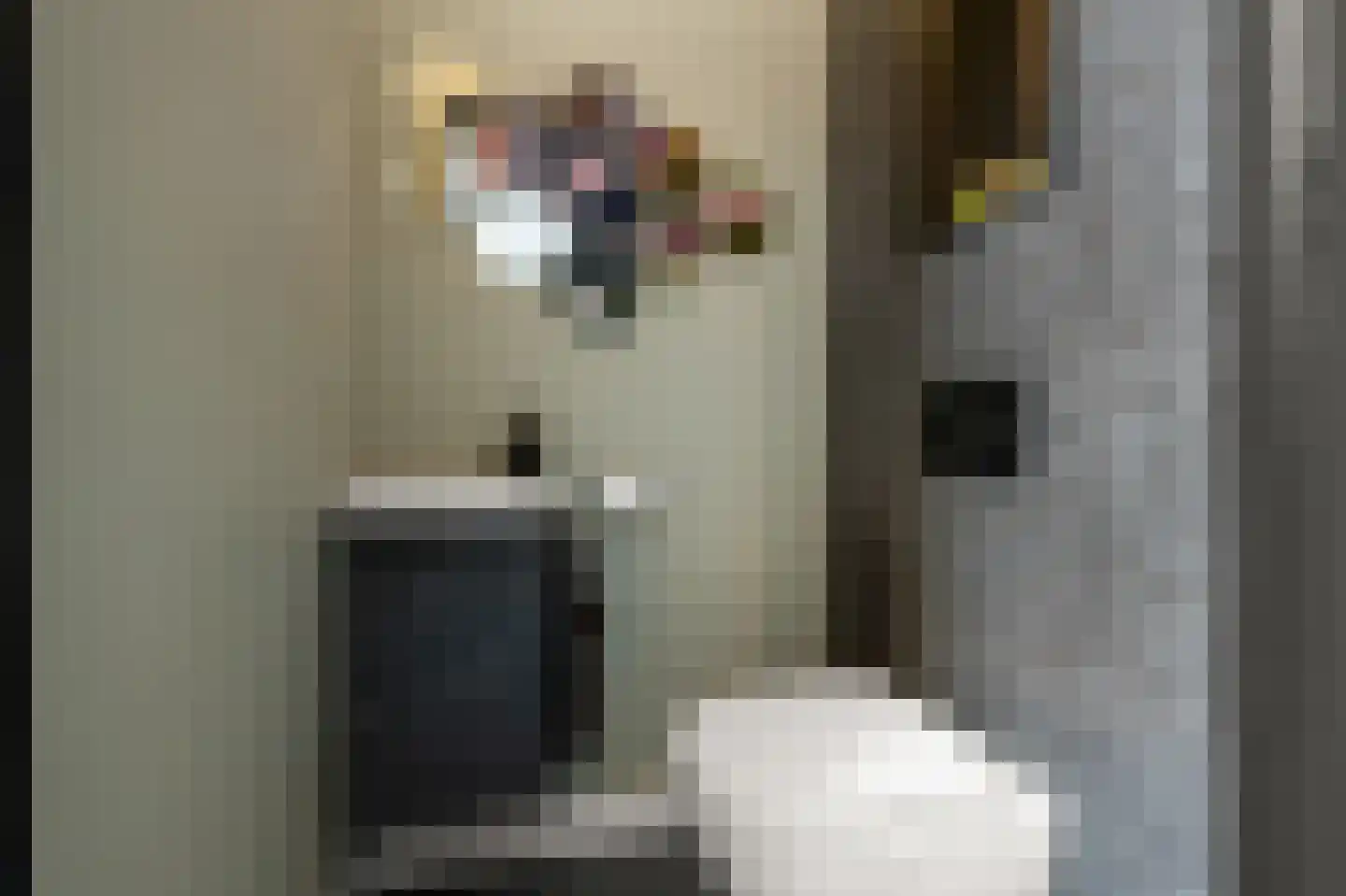Iepenlaan 46 De Kwakel thumbnail 28