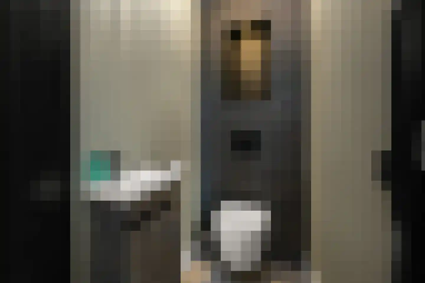 Iepenlaan 46 De Kwakel thumbnail 31