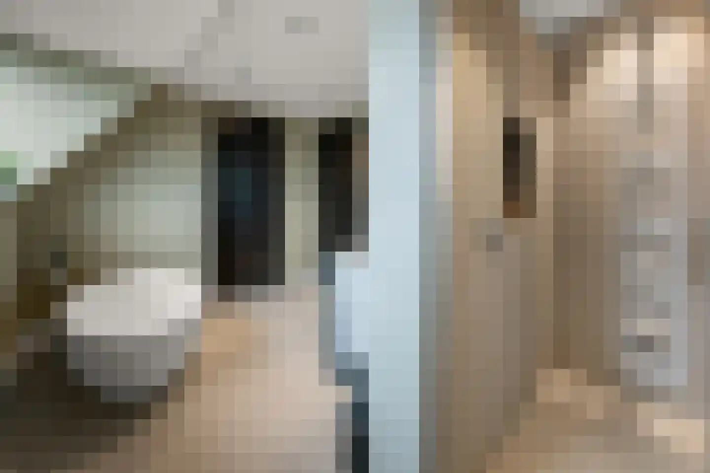 Iepenlaan 46 De Kwakel thumbnail 38