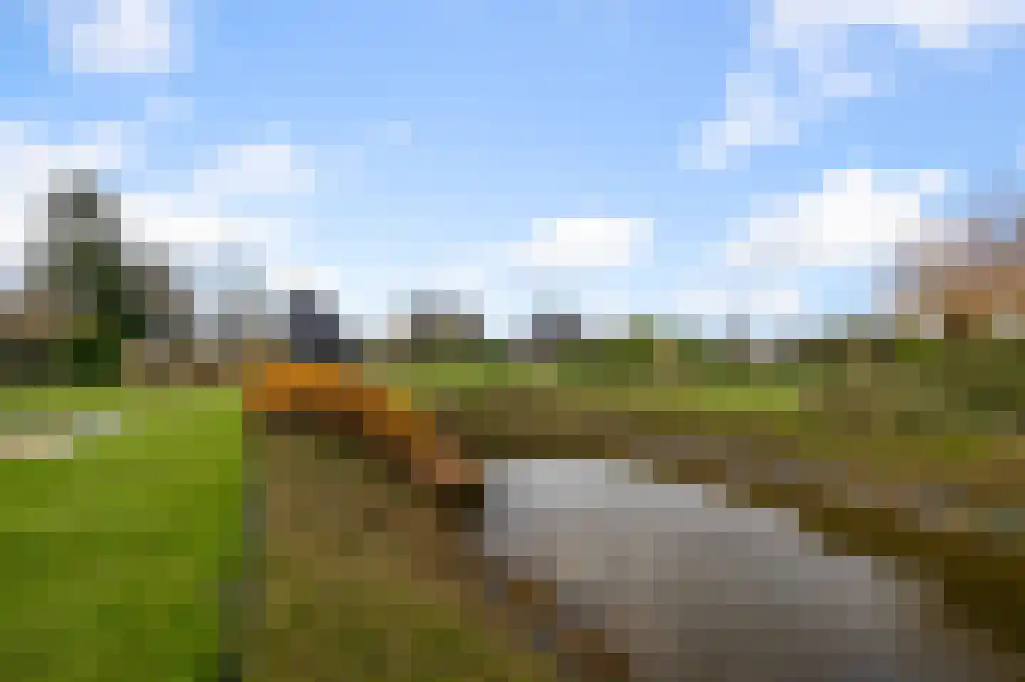 Iepenlaan 46 De Kwakel thumbnail 4