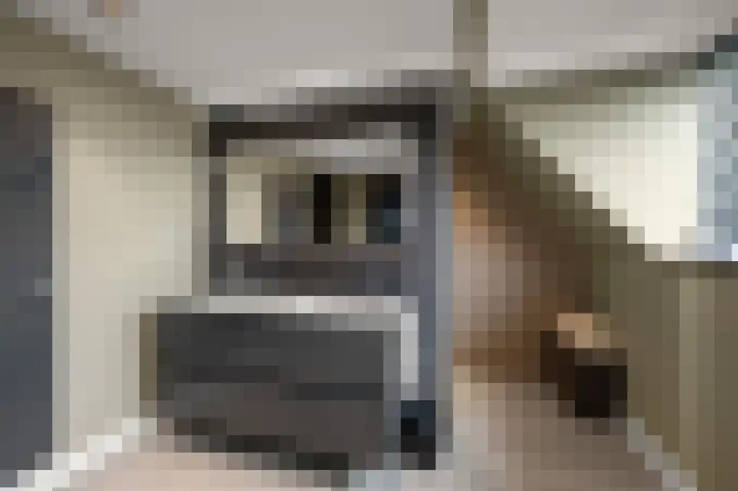 Iepenlaan 46 De Kwakel thumbnail 40