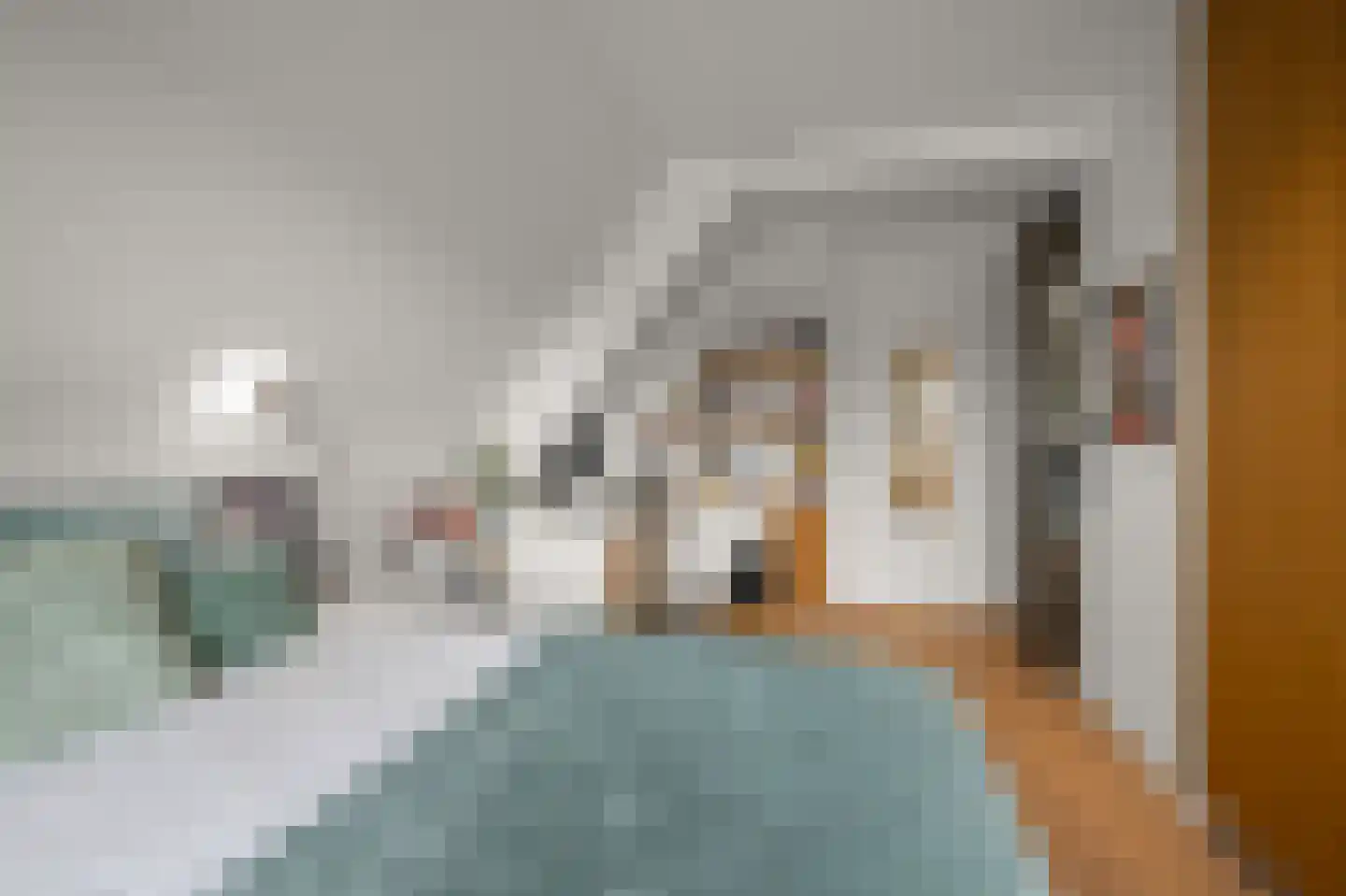 Iepenlaan 46 De Kwakel thumbnail 42