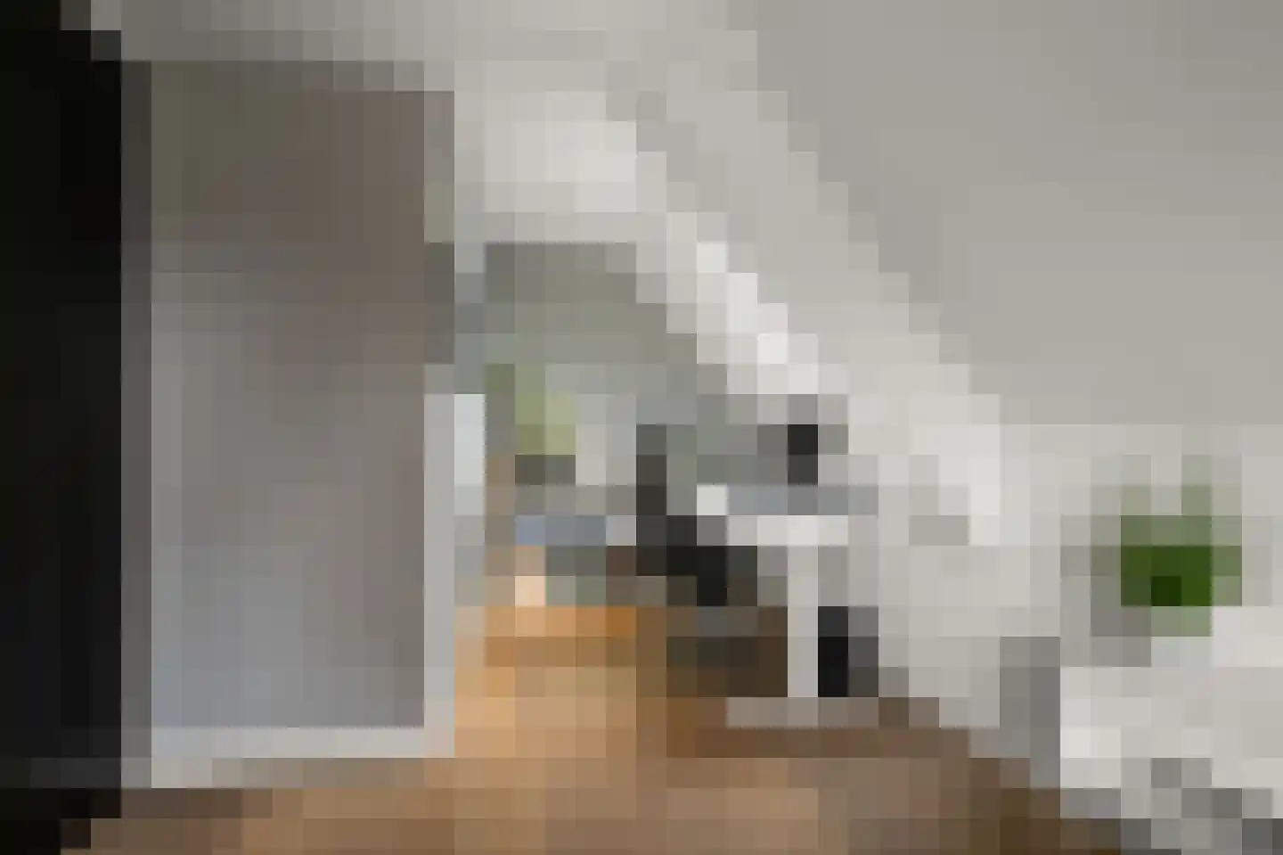 Iepenlaan 46 De Kwakel thumbnail 43