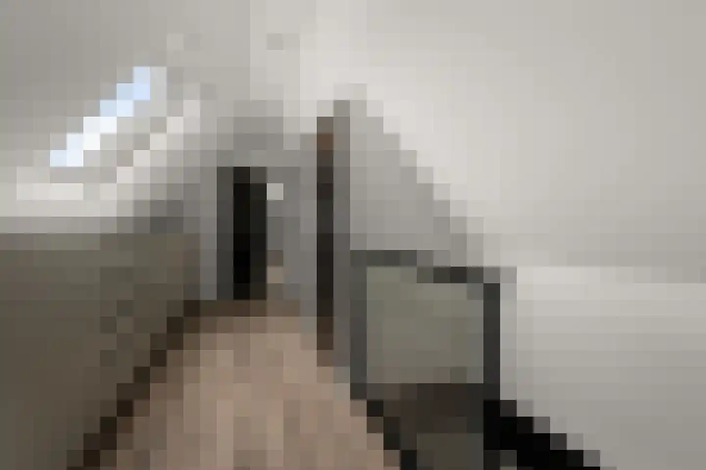 Iepenlaan 46 De Kwakel thumbnail 45