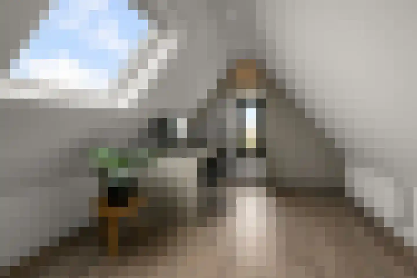 Iepenlaan 46 De Kwakel thumbnail 46
