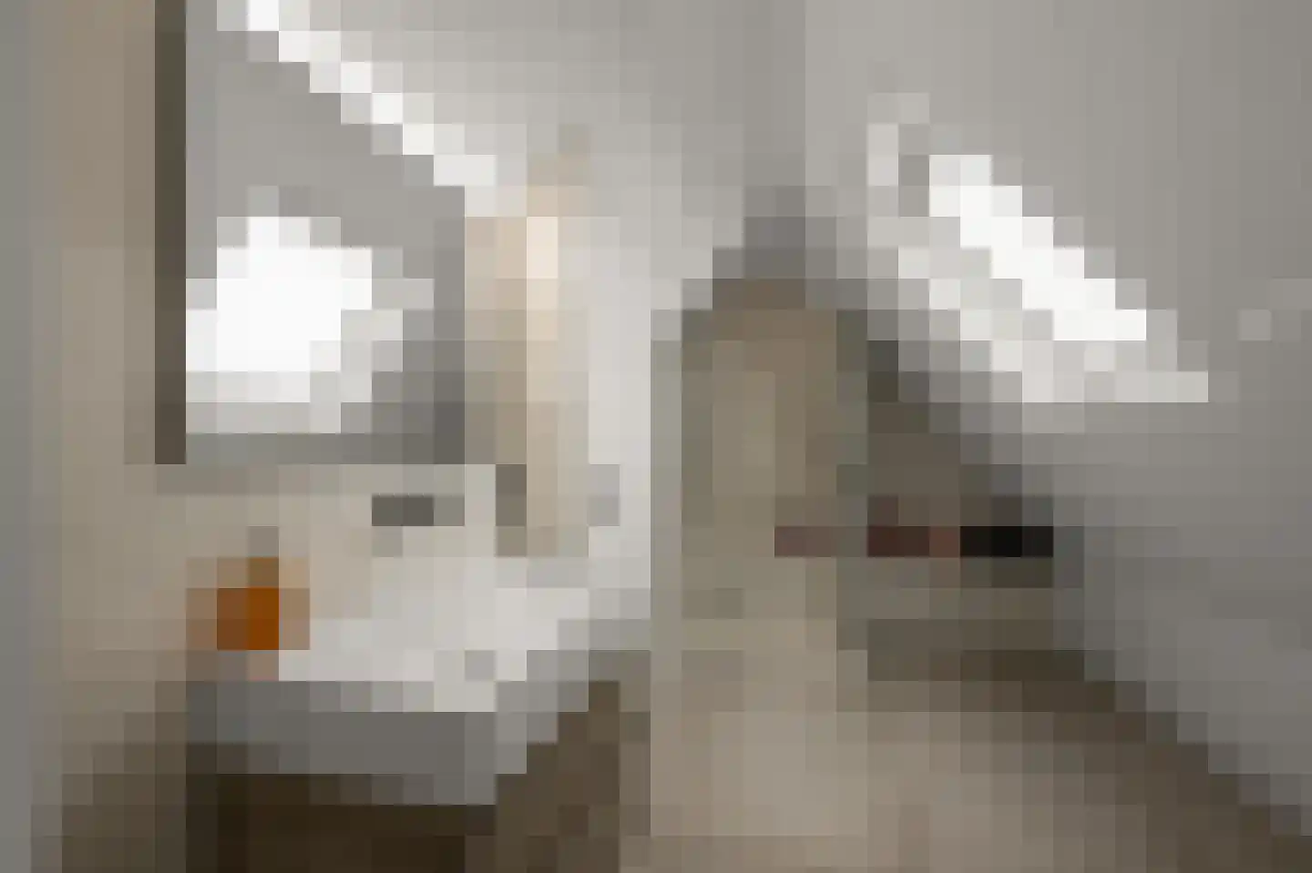 Iepenlaan 46 De Kwakel thumbnail 48