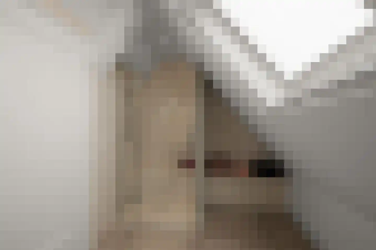 Iepenlaan 46 De Kwakel thumbnail 49