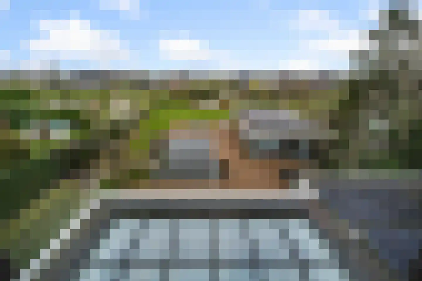 Iepenlaan 46 De Kwakel thumbnail 55