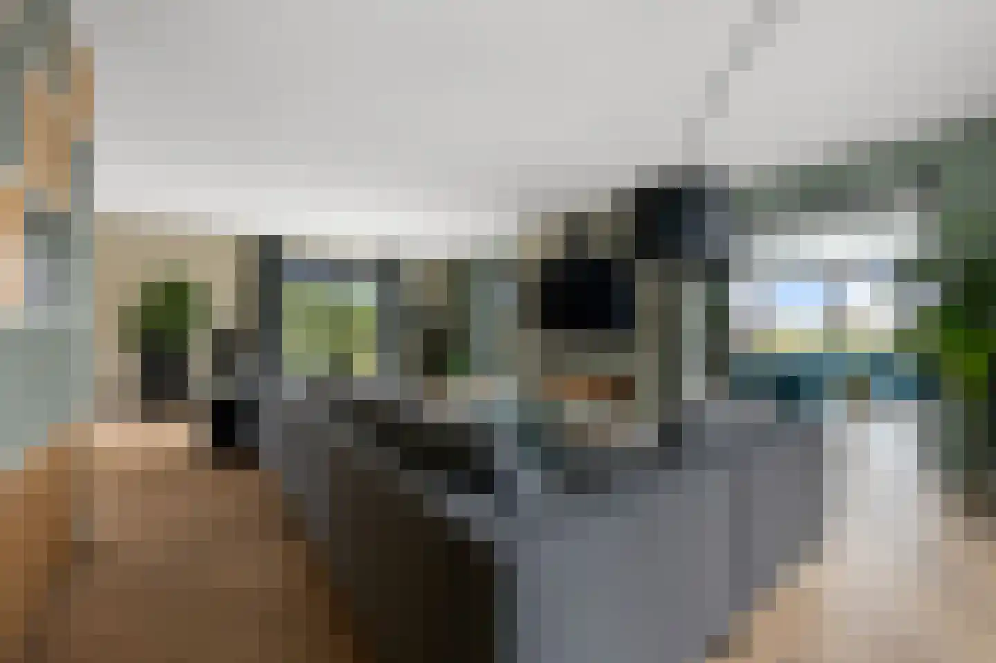 Iepenlaan 46 De Kwakel thumbnail 6