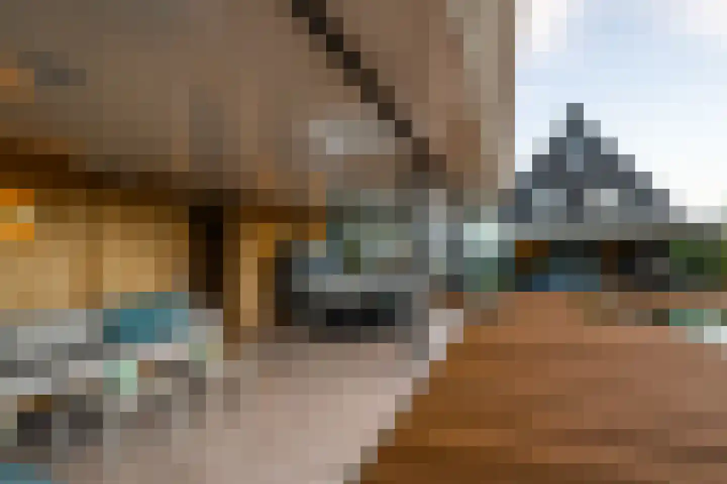 Iepenlaan 46 De Kwakel thumbnail 66