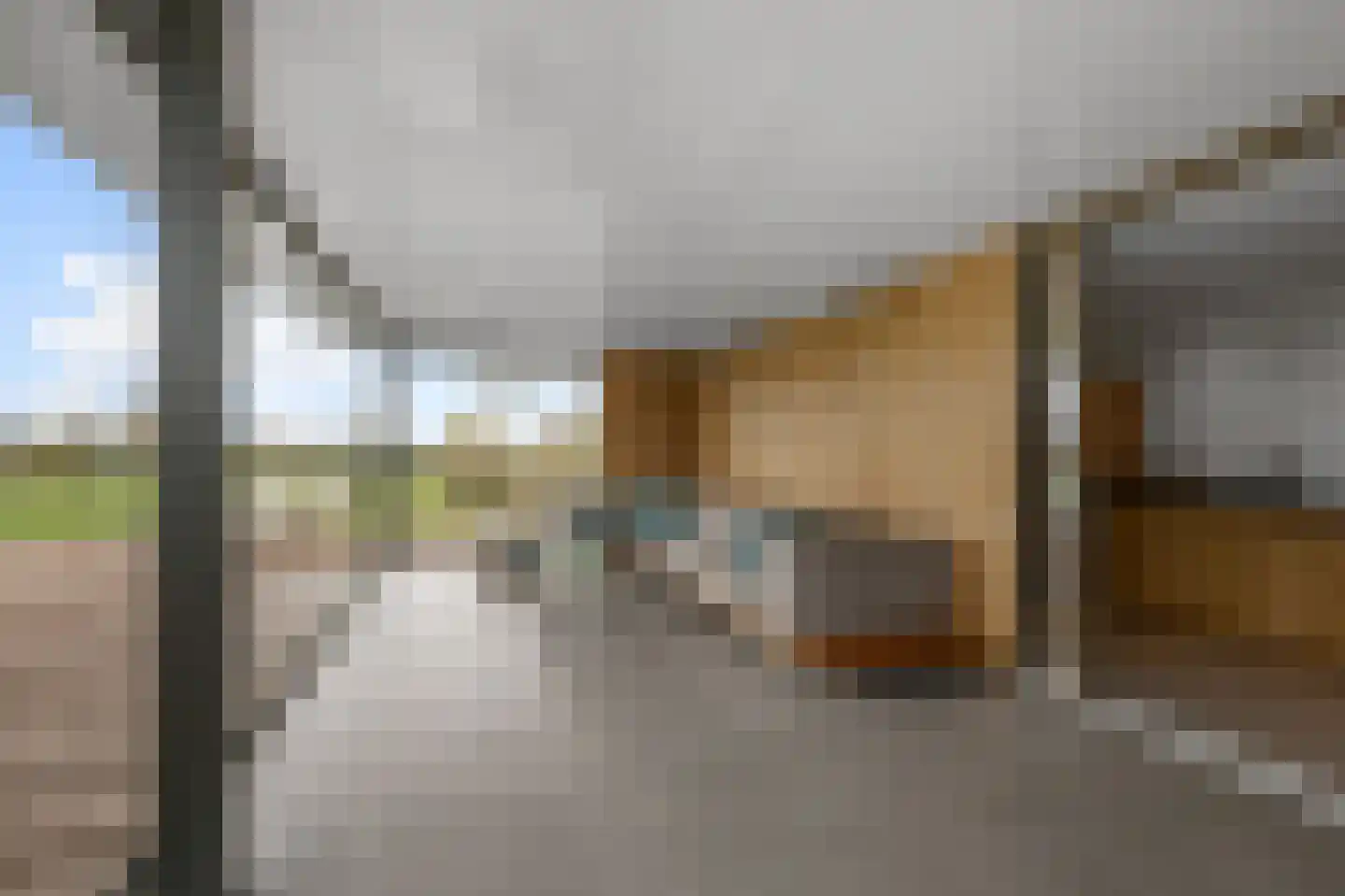 Iepenlaan 46 De Kwakel thumbnail 69