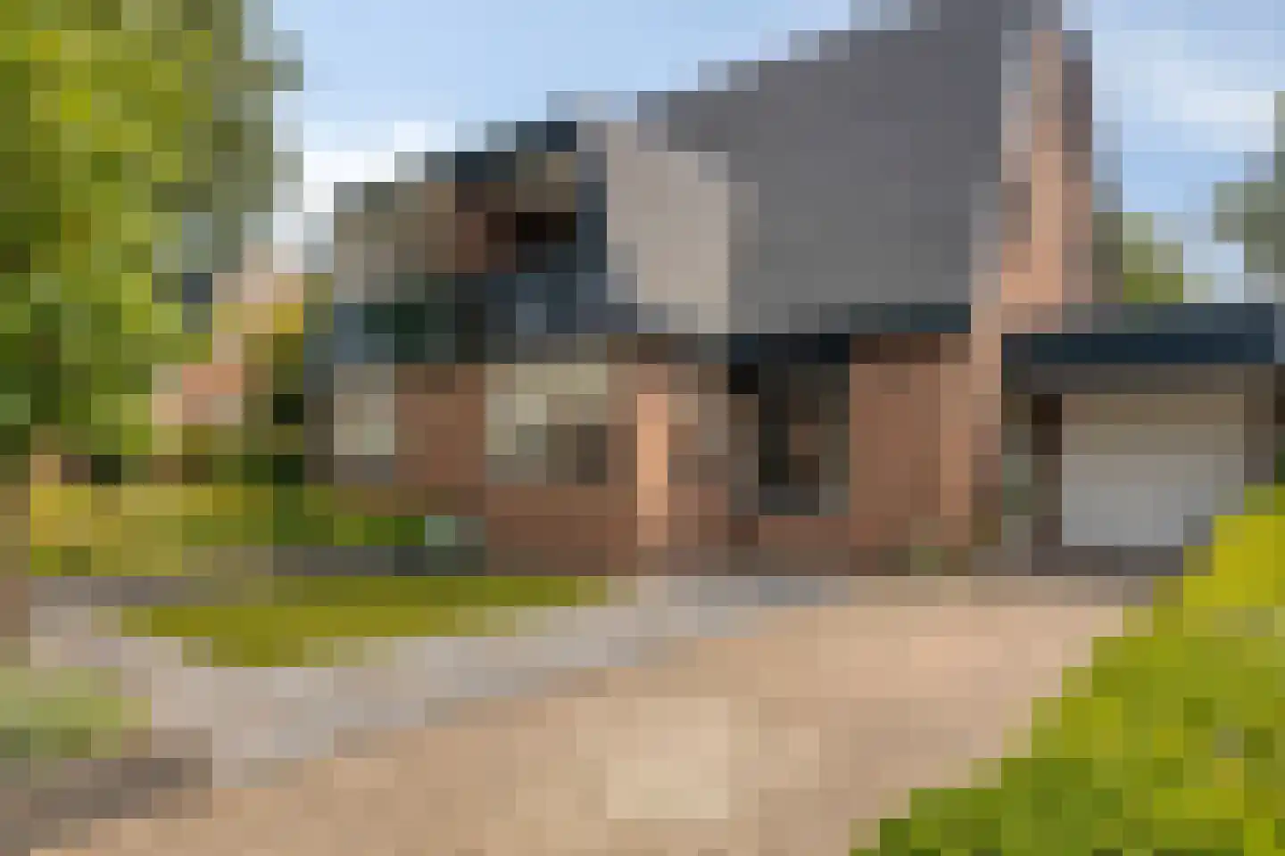 Iepenlaan 47 in Duiven