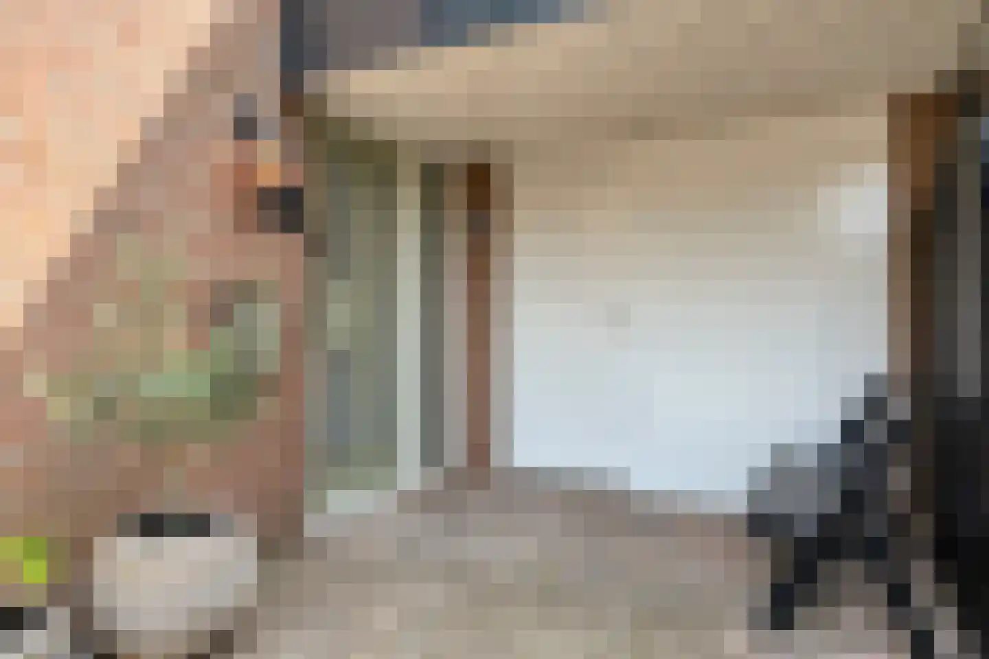 Iepenlaan 47 Duiven thumbnail 10
