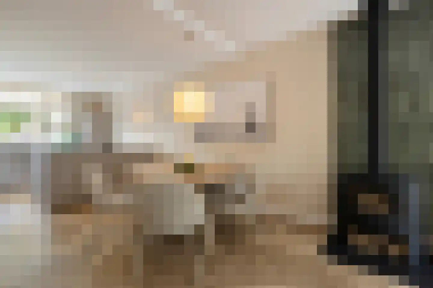 Iepenlaan 47 Duiven thumbnail 15