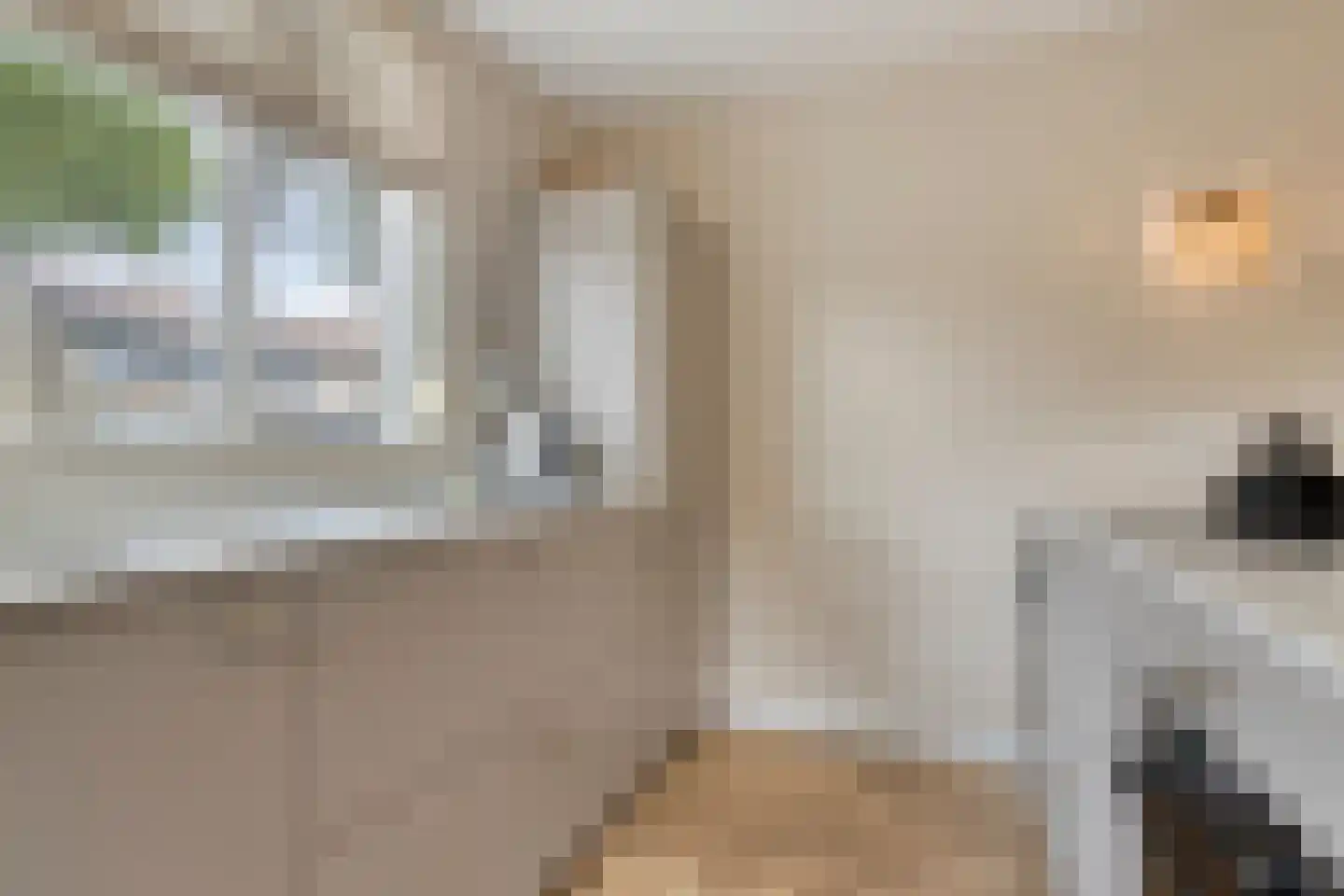 Iepenlaan 47 Duiven thumbnail 17