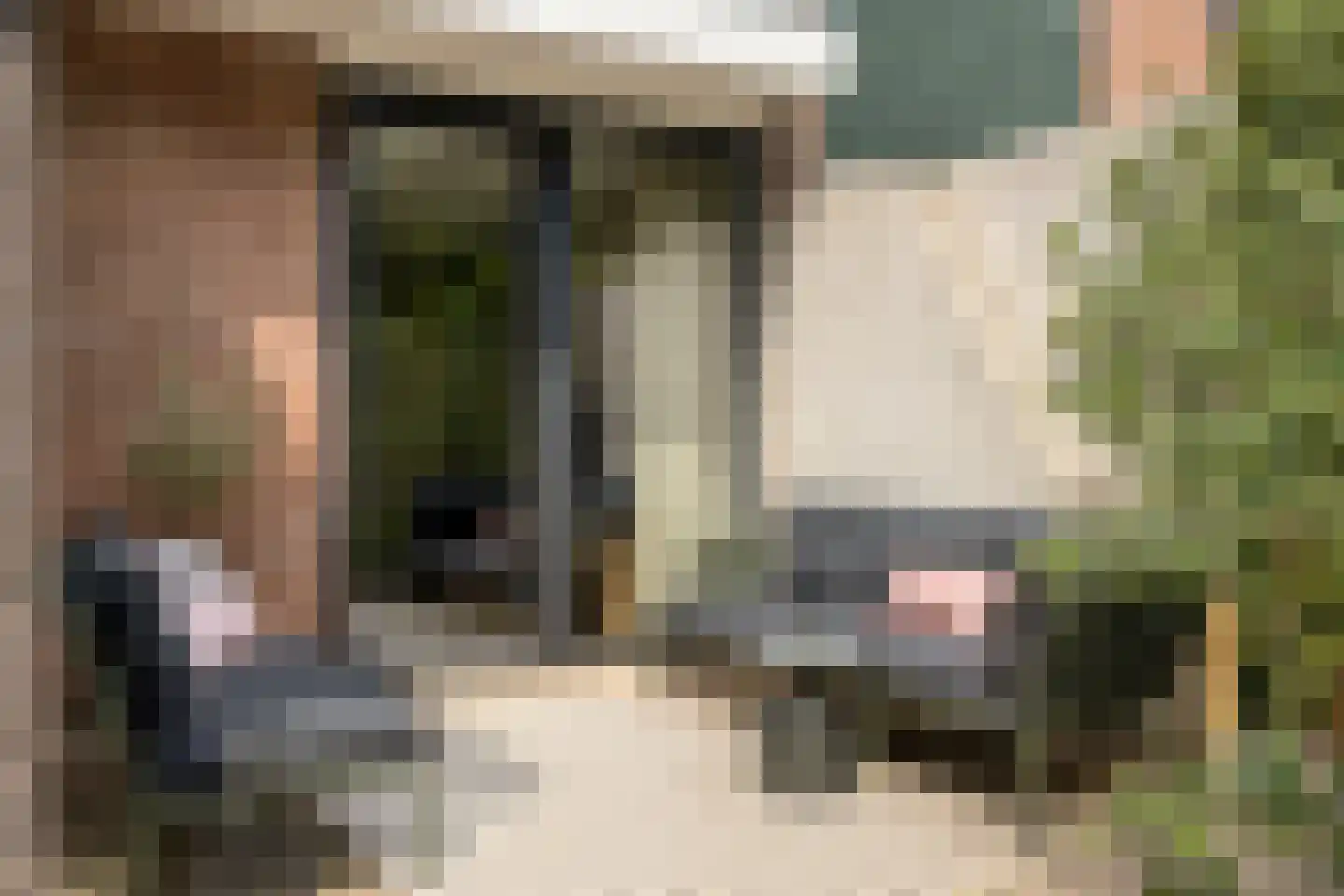 Iepenlaan 47 Duiven thumbnail 23