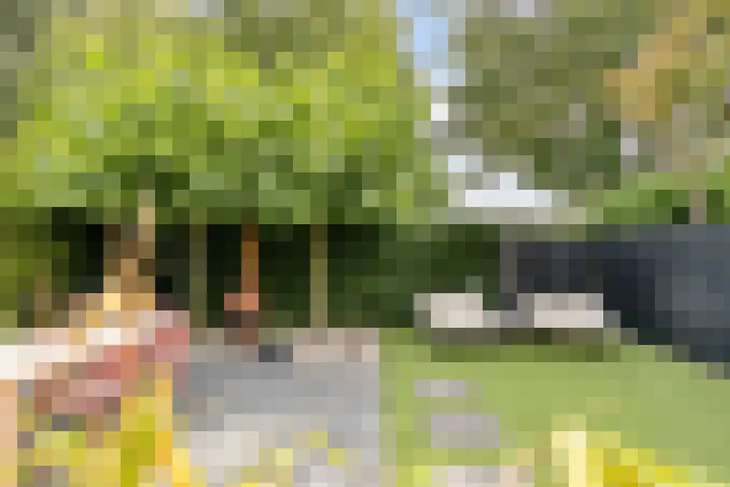 Iepenlaan 47 Duiven thumbnail 25