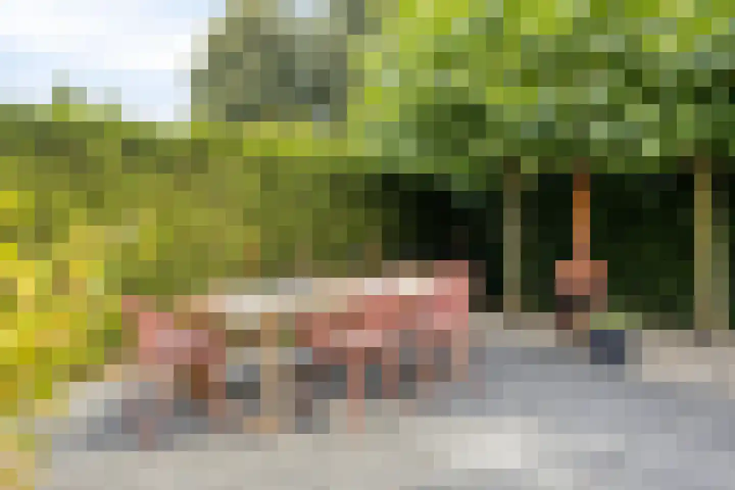 Iepenlaan 47 Duiven thumbnail 26