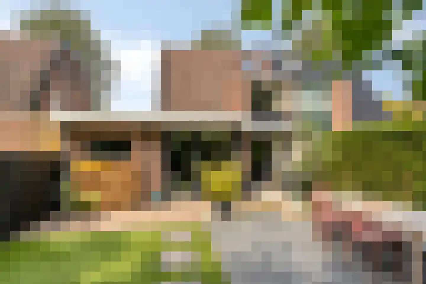 Iepenlaan 47 Duiven thumbnail 27