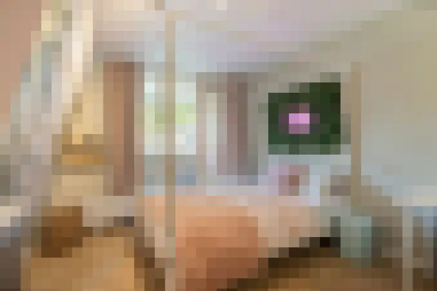 Iepenlaan 47 Duiven thumbnail 35