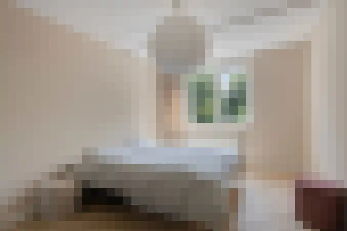 Iepenlaan 47 Duiven thumbnail 39